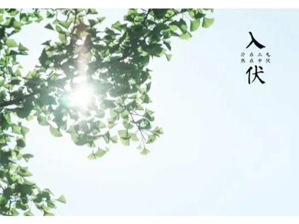 金环电器