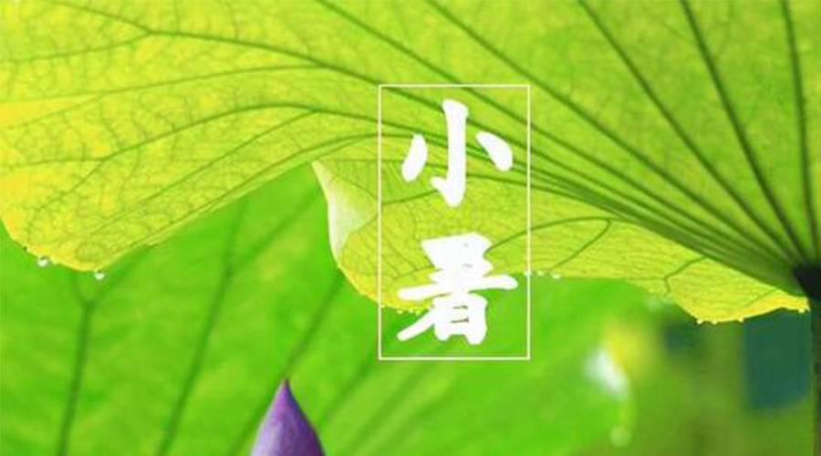 金环电器提醒 小暑时节要注意这些禁忌