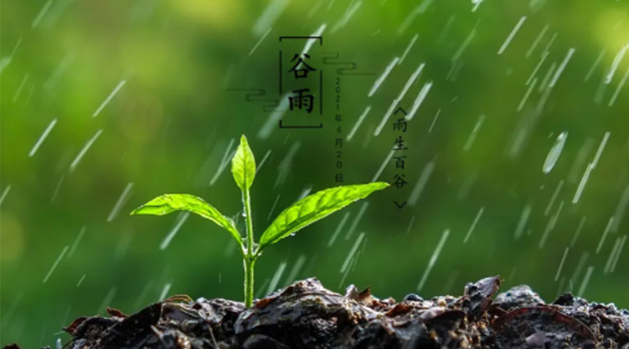金环电器告诉你谷雨时节的注意事项