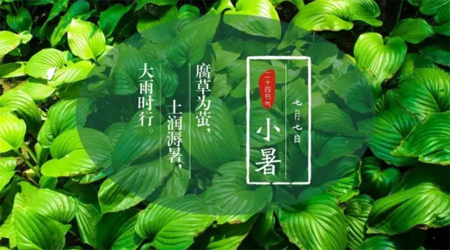 小暑时节来到！金环电器提醒大家要注意的事项