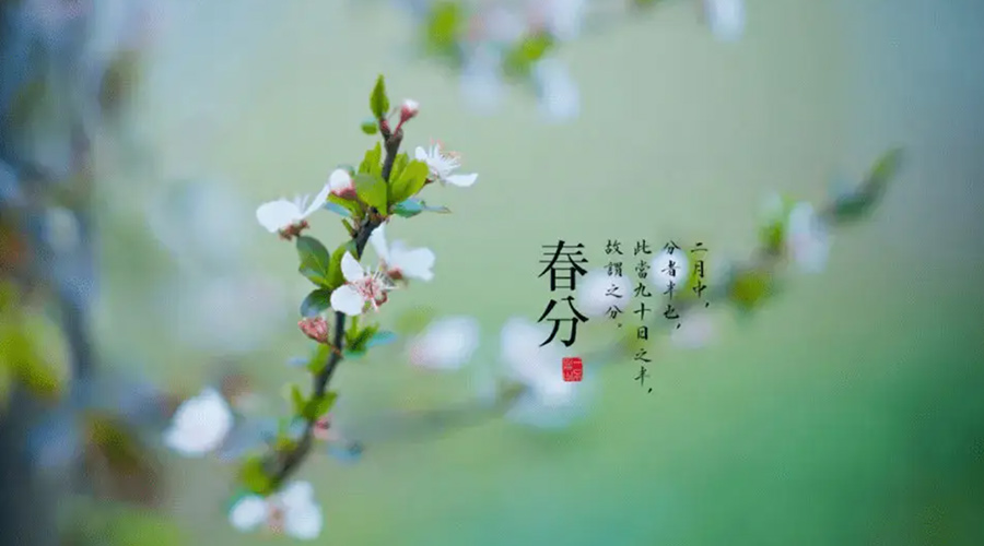 春分雨水多易生菌！金环电器提醒你衣物要注意处理