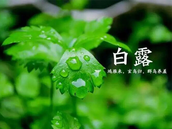 金环电器