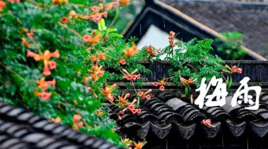 什么是梅雨？梅雨如何形成？  金環電器告訴你答案